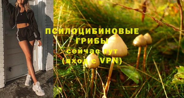 тгк Медногорск