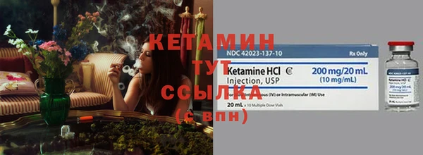 прущие грибы Магадан