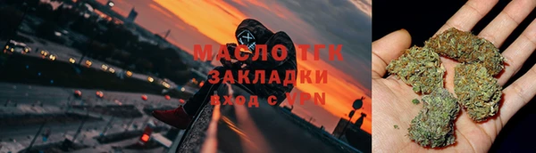 тгк Медногорск