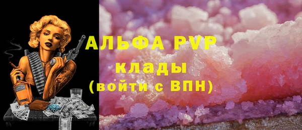 прущие крисы Магас