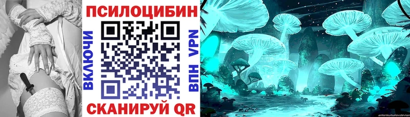 даркнет клад  Новомичуринск  Псилоцибиновые грибы ЛСД 